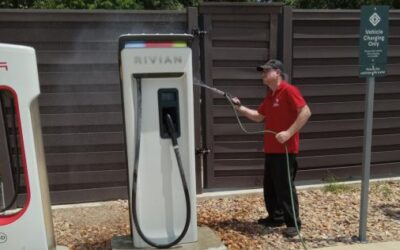 Why Businesses in Texas Need a Regular Pest Control Plan